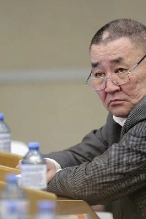 Они не настоящие. Депутат Госдумы Аммосов о беспартийных кандидатах